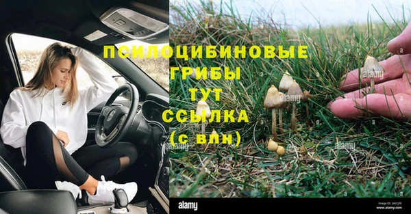 мет Осинники