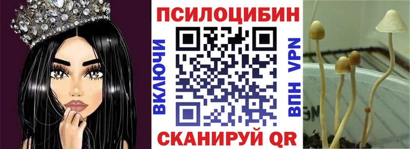 маркетплейс как зайти Асино Галлюциногенные грибы Magic Shrooms где можно купить