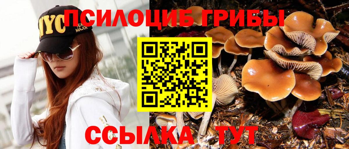 Галлюциногенные грибы мицелий Асино