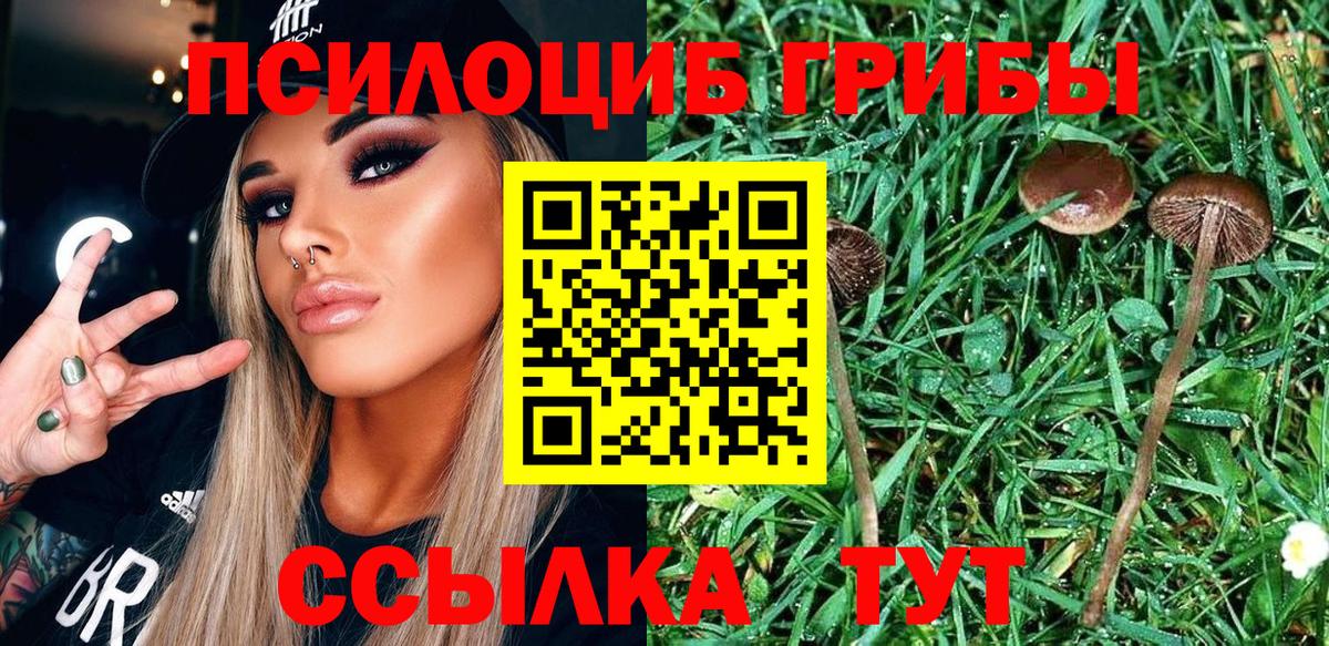 ЭКСТАЗИ  Асино  LSD-25  Меф МЯУ МЯУ   Конопля  МДМА  Вход с VPN  Гашиш 