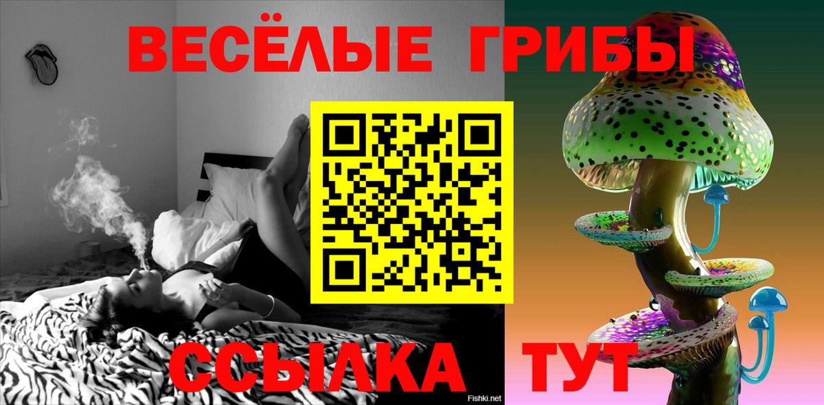 Псилоцибиновые грибы Psilocybine cubensis  Асино  наркошоп  Галлюциногенные грибы GOLDEN TEACHER 